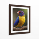 Diamante de Gould - Infiniity Art | Cuadro decorativo de Canvas Lab
