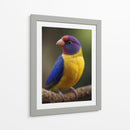 Diamante de Gould - Infiniity Art | Cuadro decorativo de Canvas Lab