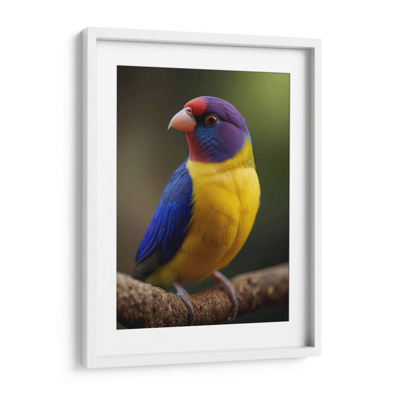 Diamante de Gould - Infiniity Art | Cuadro decorativo de Canvas Lab
