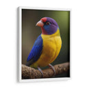 Diamante de Gould - Infiniity Art | Cuadro decorativo de Canvas Lab
