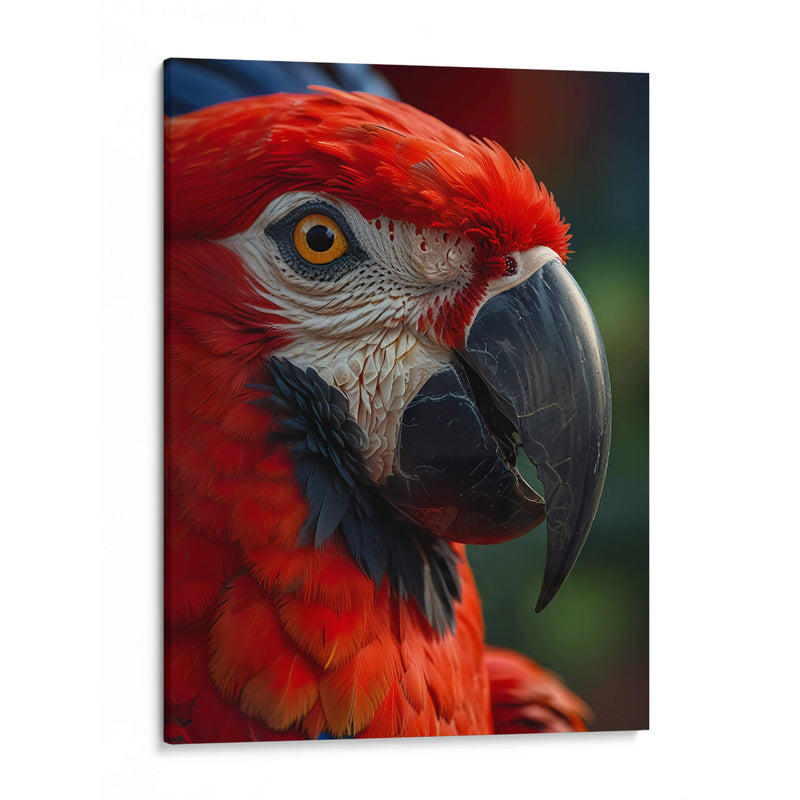 Guacamaya - Infiniity Art | Cuadro decorativo de Canvas Lab