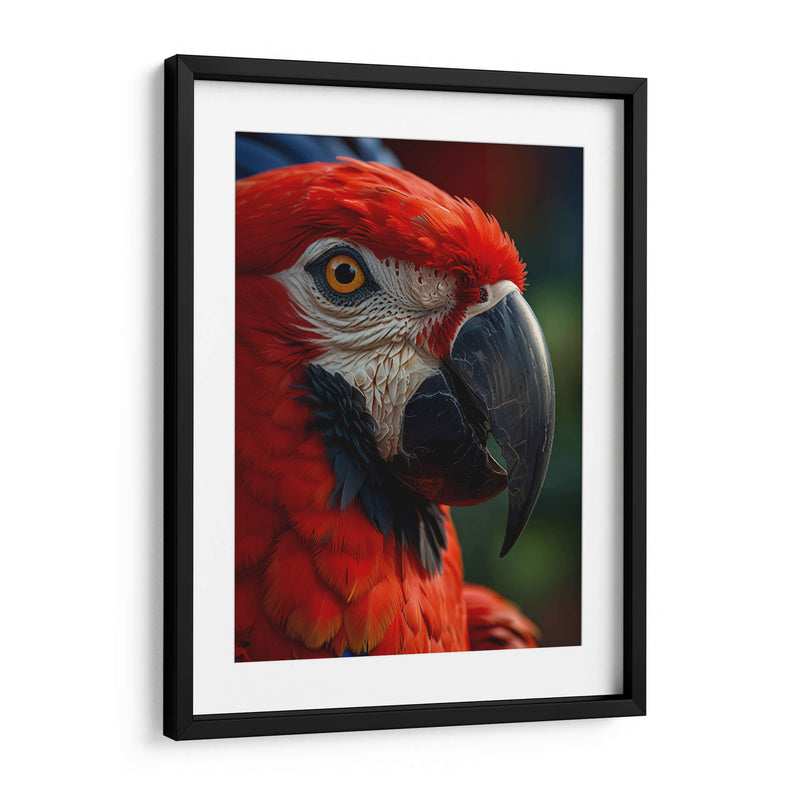 Guacamaya - Infiniity Art | Cuadro decorativo de Canvas Lab