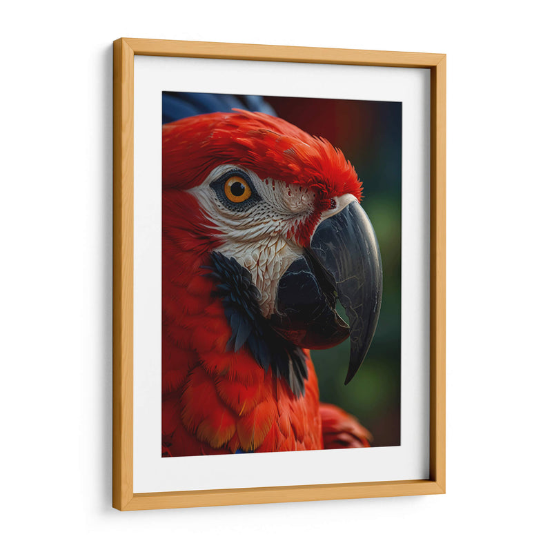 Guacamaya - Infiniity Art | Cuadro decorativo de Canvas Lab