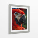 Guacamaya - Infiniity Art | Cuadro decorativo de Canvas Lab