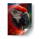 Guacamaya - Infiniity Art | Cuadro decorativo de Canvas Lab