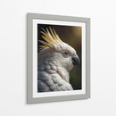 Cacatúa - Infiniity Art | Cuadro decorativo de Canvas Lab