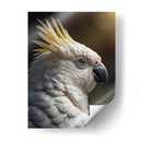 Cacatúa - Infiniity Art | Cuadro decorativo de Canvas Lab