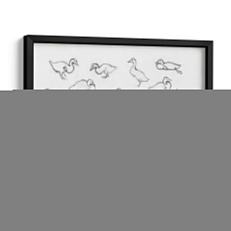 Bosquejo estudio de patos - Julie de Graag | Cuadro decorativo de Canvas Lab