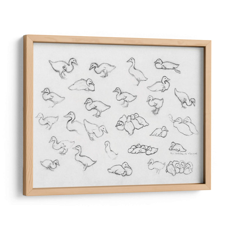 Bosquejo estudio de patos - Julie de Graag | Cuadro decorativo de Canvas Lab