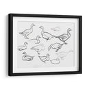 Bosquejo estudio de gansos - Julie de Graag | Cuadro decorativo de Canvas Lab