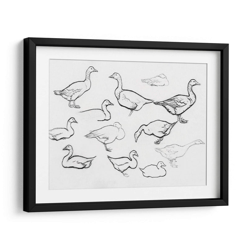 Bosquejo estudio de gansos - Julie de Graag | Cuadro decorativo de Canvas Lab