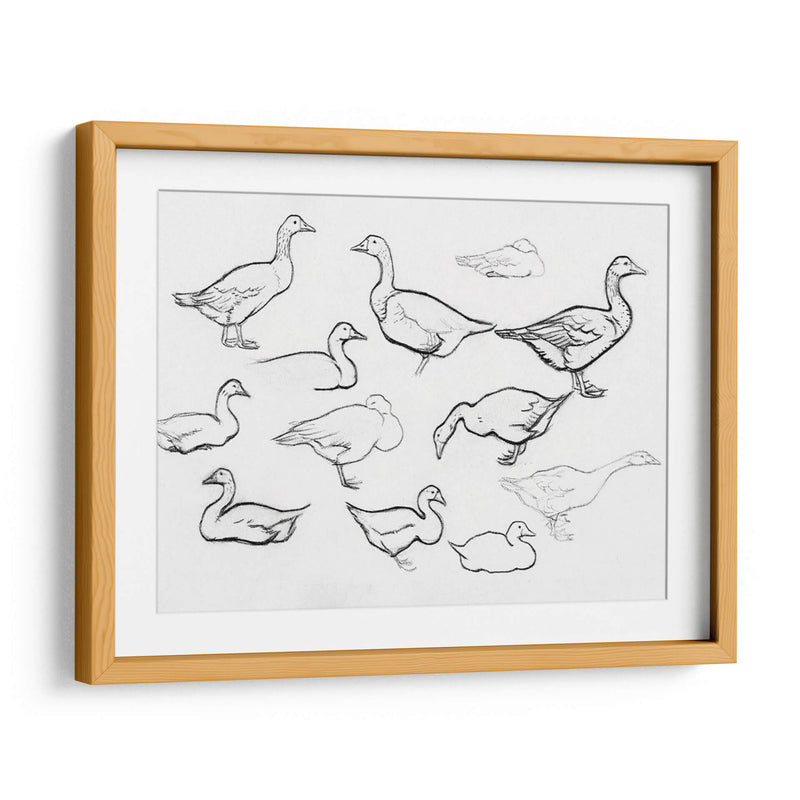 Bosquejo estudio de gansos - Julie de Graag | Cuadro decorativo de Canvas Lab