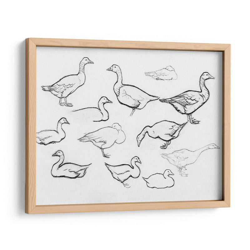 Bosquejo estudio de gansos - Julie de Graag | Cuadro decorativo de Canvas Lab