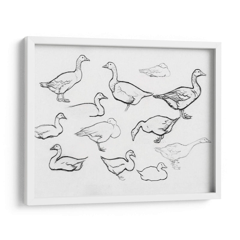 Bosquejo estudio de gansos - Julie de Graag | Cuadro decorativo de Canvas Lab
