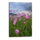 Campos de Mirasoles 1 - Nosion | Cuadro decorativo de Canvas Lab