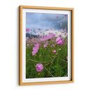 Campos de Mirasoles 1 - Nosion | Cuadro decorativo de Canvas Lab