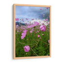 Campos de Mirasoles 1 - Nosion | Cuadro decorativo de Canvas Lab