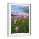 Campos de Mirasoles 1 - Nosion | Cuadro decorativo de Canvas Lab