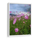 Campos de Mirasoles 1 - Nosion | Cuadro decorativo de Canvas Lab