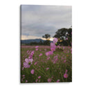 Campos de Mirasoles 2. - Nosion | Cuadro decorativo de Canvas Lab