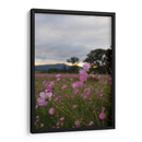 Campos de Mirasoles 2. - Nosion | Cuadro decorativo de Canvas Lab