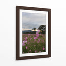 Campos de Mirasoles 2. - Nosion | Cuadro decorativo de Canvas Lab