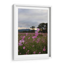 Campos de Mirasoles 2. - Nosion | Cuadro decorativo de Canvas Lab