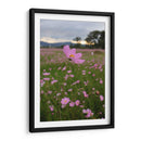 Campos de Mirasoles 3. - Nosion | Cuadro decorativo de Canvas Lab