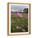 Campos de Mirasoles 3. - Nosion | Cuadro decorativo de Canvas Lab