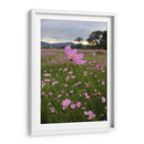 Campos de Mirasoles 3. - Nosion | Cuadro decorativo de Canvas Lab