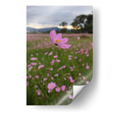 Campos de Mirasoles 3. - Nosion | Cuadro decorativo de Canvas Lab