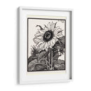 Girasol - Julie de Graag | Cuadro decorativo de Canvas Lab