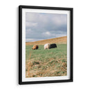 Contando Ovejas - Wandering Pixels Co. | Cuadro decorativo de Canvas Lab