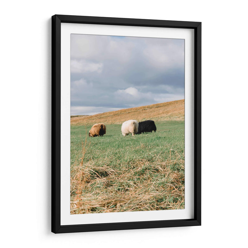 Contando Ovejas - Wandering Pixels Co. | Cuadro decorativo de Canvas Lab