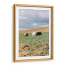 Contando Ovejas - Wandering Pixels Co. | Cuadro decorativo de Canvas Lab