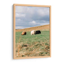 Contando Ovejas - Wandering Pixels Co. | Cuadro decorativo de Canvas Lab