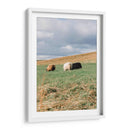 Contando Ovejas - Wandering Pixels Co. | Cuadro decorativo de Canvas Lab