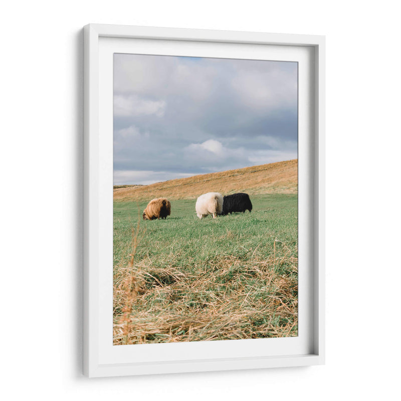 Contando Ovejas - Wandering Pixels Co. | Cuadro decorativo de Canvas Lab