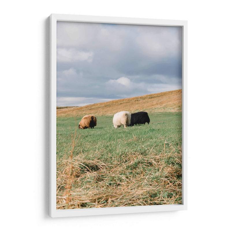 Contando Ovejas - Wandering Pixels Co. | Cuadro decorativo de Canvas Lab