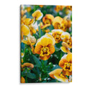 Flores Violas Amarillas - Wandering Pixels Co. | Cuadro decorativo de Canvas Lab