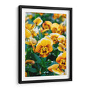 Flores Violas Amarillas - Wandering Pixels Co. | Cuadro decorativo de Canvas Lab