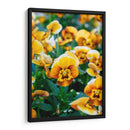Flores Violas Amarillas - Wandering Pixels Co. | Cuadro decorativo de Canvas Lab