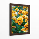 Flores Violas Amarillas - Wandering Pixels Co. | Cuadro decorativo de Canvas Lab