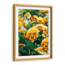 Flores Violas Amarillas - Wandering Pixels Co. | Cuadro decorativo de Canvas Lab