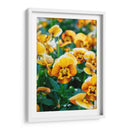 Flores Violas Amarillas - Wandering Pixels Co. | Cuadro decorativo de Canvas Lab