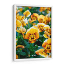 Flores Violas Amarillas - Wandering Pixels Co. | Cuadro decorativo de Canvas Lab