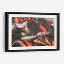 Peces Koi - Wandering Pixels Co. | Cuadro decorativo de Canvas Lab