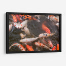 Peces Koi - Wandering Pixels Co. | Cuadro decorativo de Canvas Lab