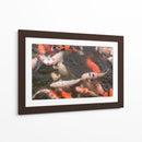 Peces Koi - Wandering Pixels Co. | Cuadro decorativo de Canvas Lab