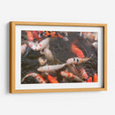 Peces Koi - Wandering Pixels Co. | Cuadro decorativo de Canvas Lab